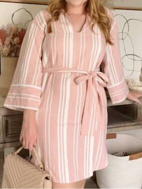Free Assembly Pink and White Striped Collared Shirt Dress with Waist Tie